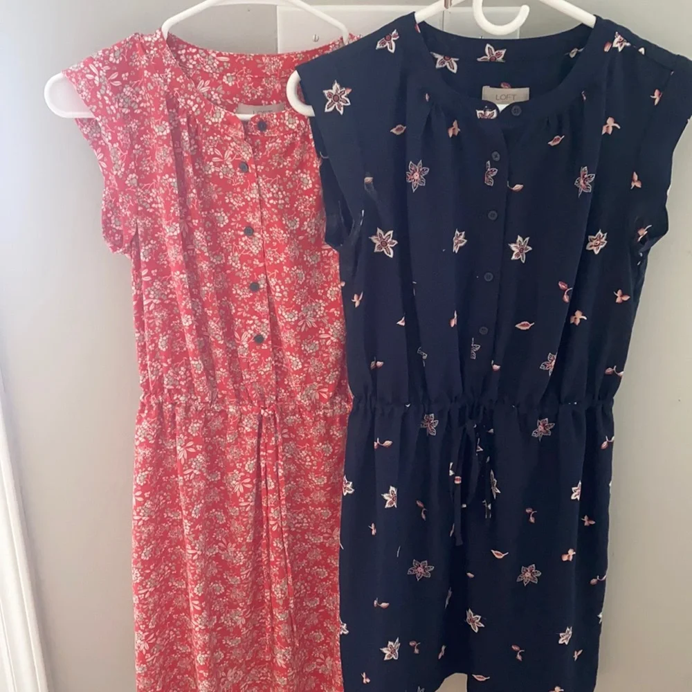 Loft Dresses - Picture 1 of 1